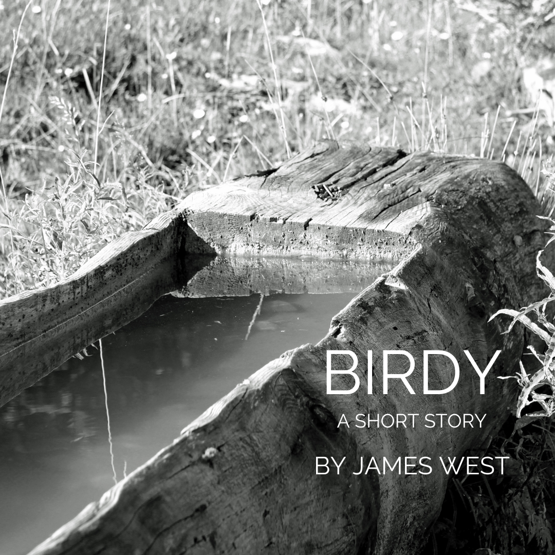 BIRDY a short story by James West